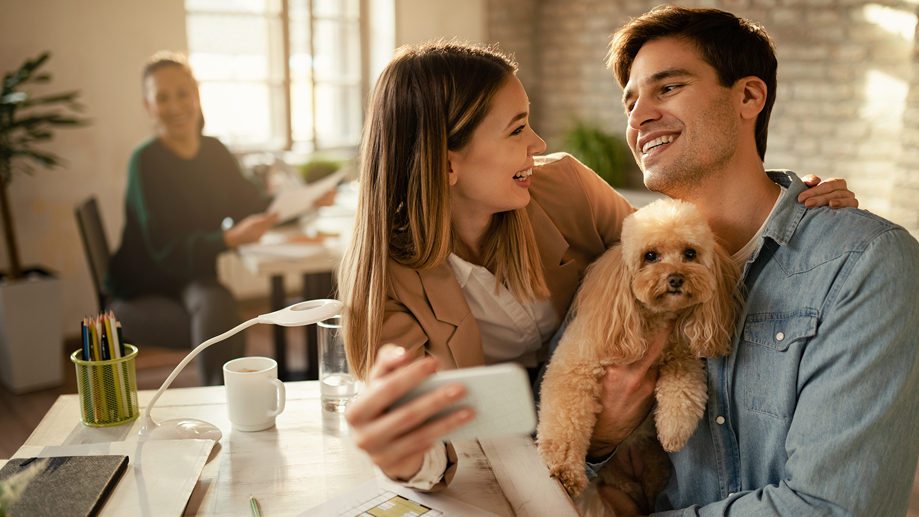 Pets – what works for owners and tenants